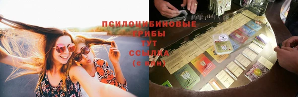 дживик Алексеевка