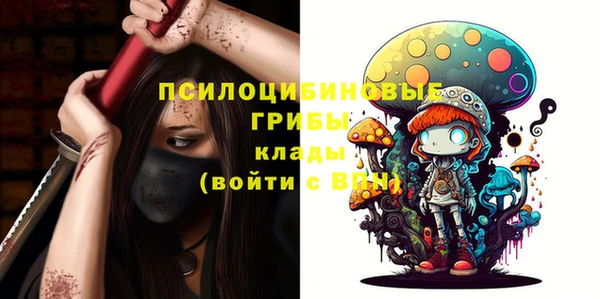 гидропоника Абинск