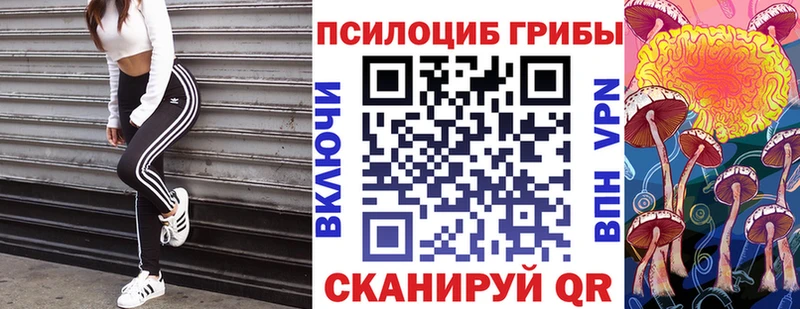 закладки Уварово Псилоцибиновые грибы Psilocybine cubensis